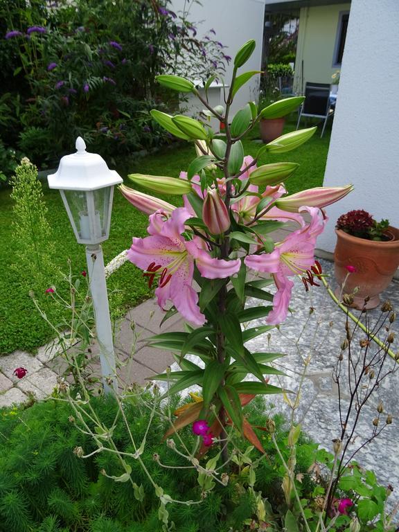 Apartamento Traudl Singer Innsbruck